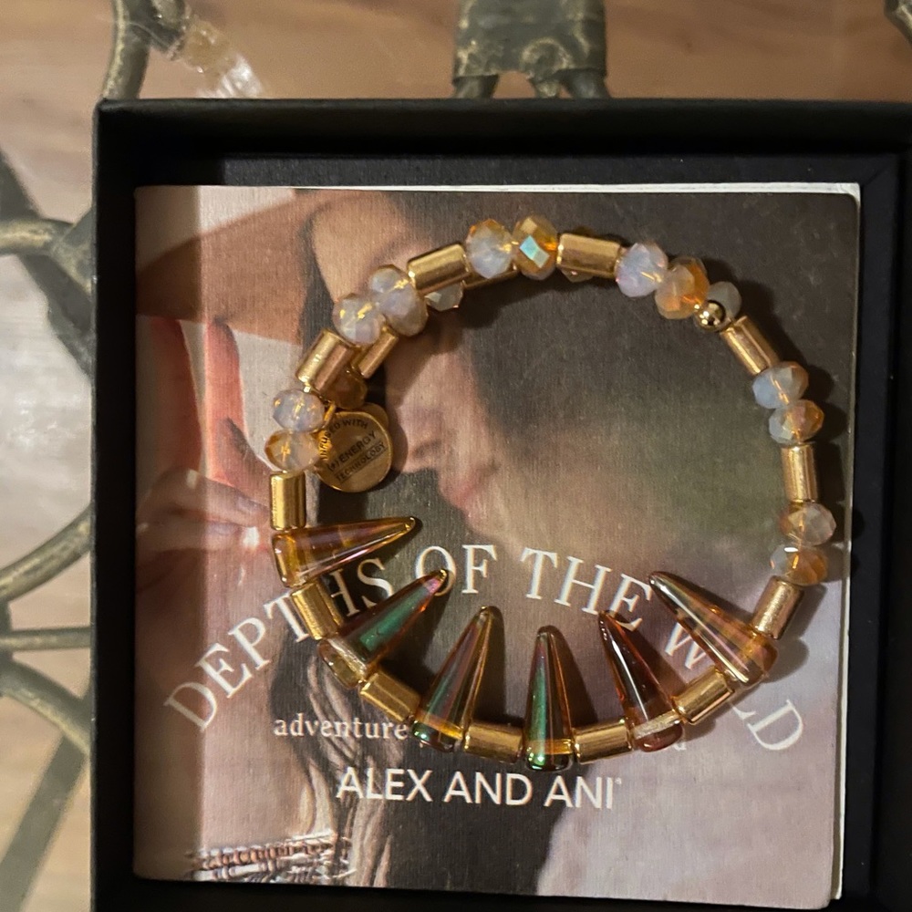 Alex and Ani gold Depths of the Wind Bangle